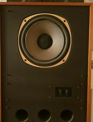 tannoy arden 3828